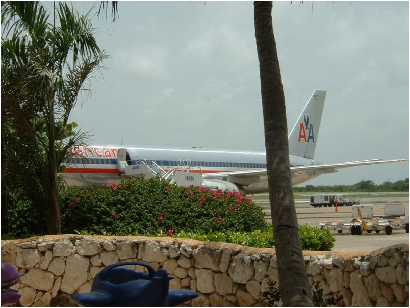 Flight (11)